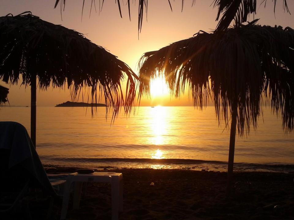 Coastline Villa Petra  Dış mekan fotoğraf
